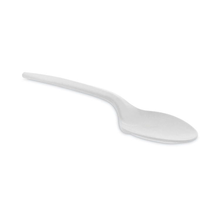 Pactiv Evergreen Fieldware Cutlery, Mediumweight Spoon, Plastic, White, 1,000/Carton (PCTYFWSWCH)