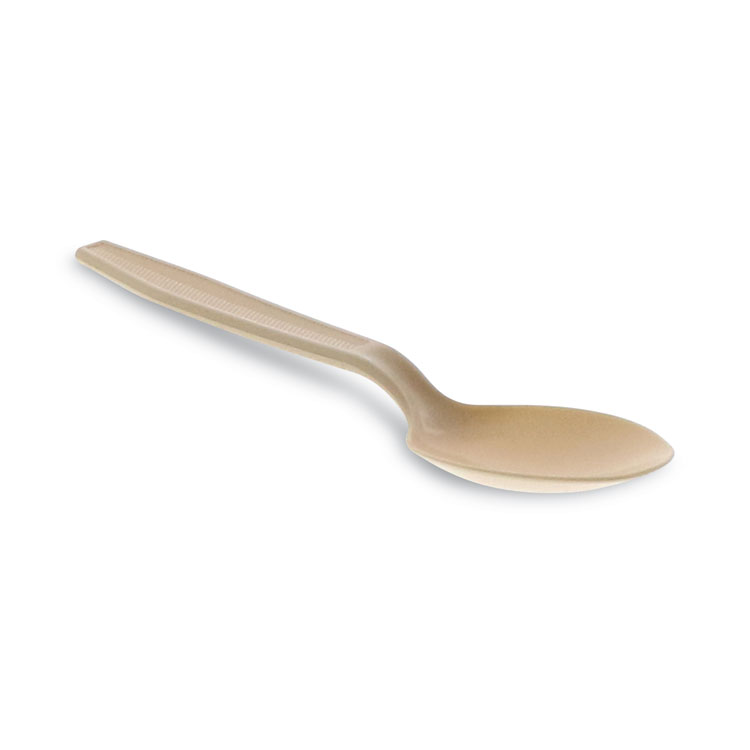 Pactiv Evergreen EarthChoice PSM Cutlery, Heavyweight Spoon, Plastic, Tan, 1,000/Carton (PCTYPSMSTEC)