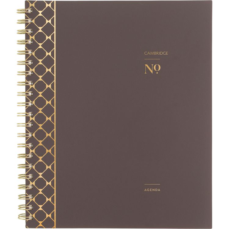 Cambridge Workstyle Monthly Poly Planner, Geometric Artwork, 11 x 8.5, Java Brown/Gold Cover, 12-Month (Jan to Dec): 2025 (AAG160690004)