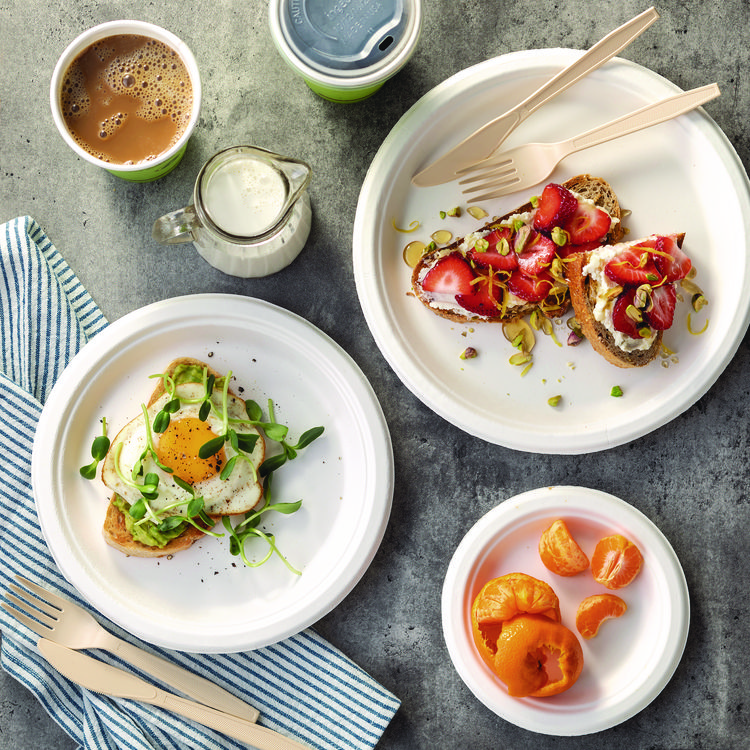 PACTIV EVERGREEN CORPORATION EarthChoice PFAS Free Compostable Dinnerware, Plate, Sugarcane, 10.25" dia, Natural, 500/Carton (PCTMC50010PFREE)