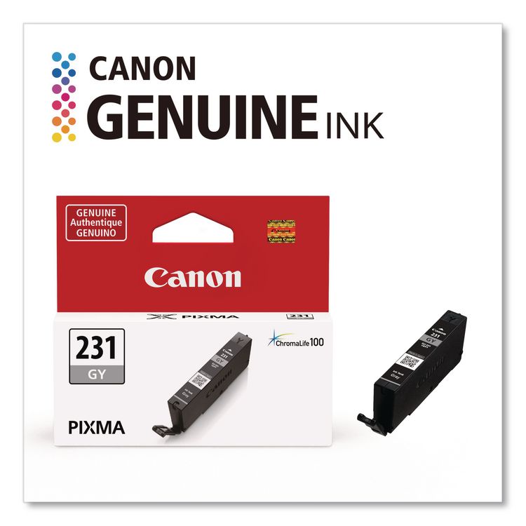 CANON COMPUTER SYSTEMS CCSI 6678C001 (CLI-231) Ink, 800 Page-Yield, Gray (CNM6678C001)