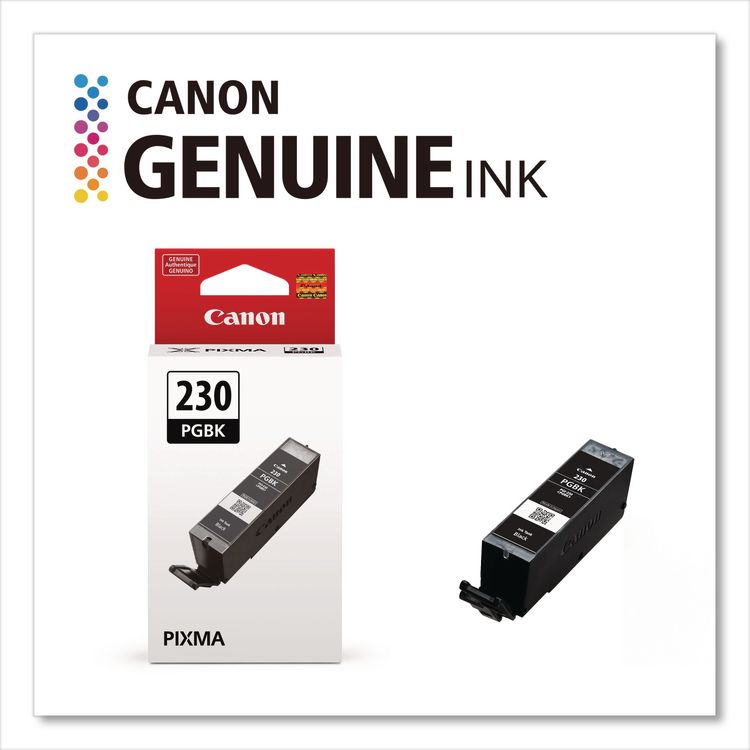 CANON COMPUTER SYSTEMS CCSI 6673C001 (PGI-230) Ink, 600 Page-Yield, Pigment Black (CNM6673C001)