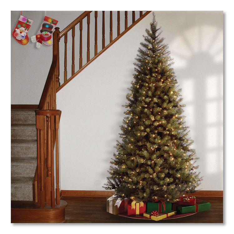 NATIONAL TREE COMPANY Pre-Lit Aspen Spruce Slim Tree, 42" x 42" x 78", Green Tree, Green Tree Stand (NTTAP730065)