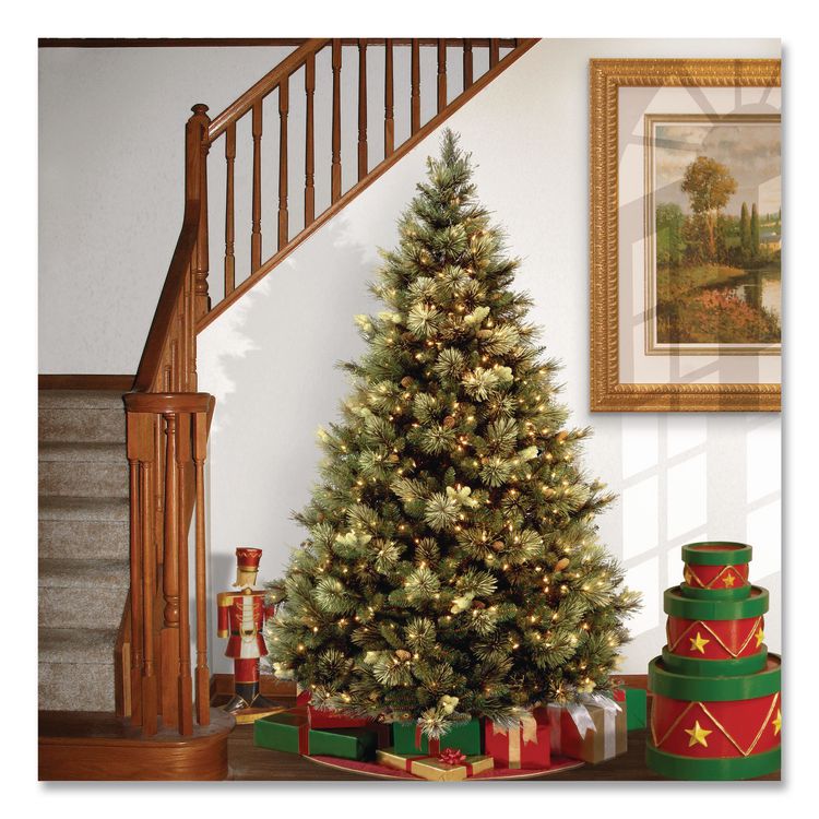 NATIONAL TREE COMPANY Pre-Lit Carolina Pine Tree, 55" x 55" x 78", Green Tree, Green Tree Stand (NTTCAP330665)