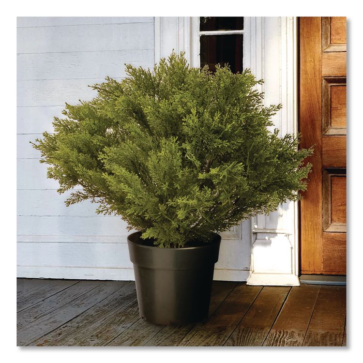 NATIONAL TREE COMPANY Globe Juniper Topiary Tree, 20" x 28" x 20", Green Tree, Green Pot (NTTLCB828)
