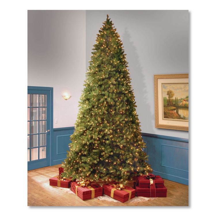 NATIONAL TREE COMPANY Pre-Lit Downswept Douglas Fir Tree, 92" x 92" x 144", Green Tree, Green Tree Stand (NTTPEDD1312120)
