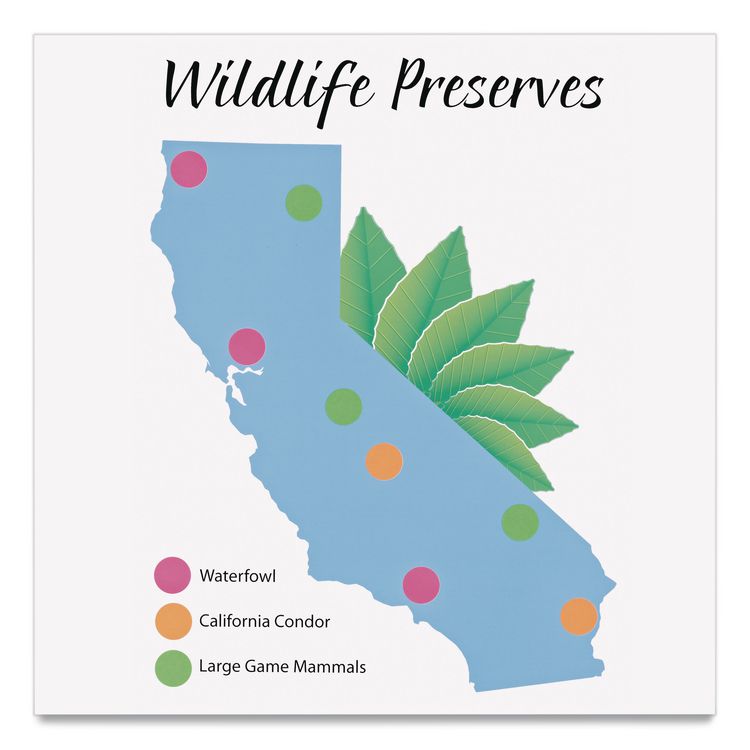 AVERY PRODUCTS CORPORATION Handwrite Only Self-Adhesive Removable Round Color-Coding Labels, 0.75" dia, Assorted Neon Colors, 24/Sheet, 42 Sheets/Pack (AVE05474)