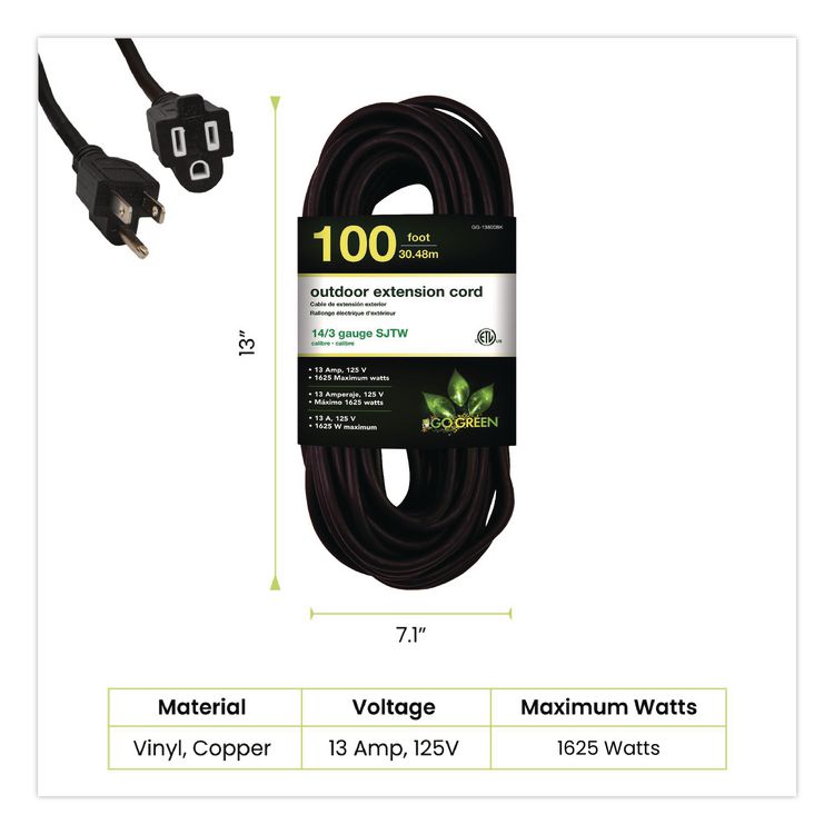 GOGREEN POWER 14 AWG Heavy-Duty Extension Cord, 100 ft, 13 A, Black (GGPGG13800BK)