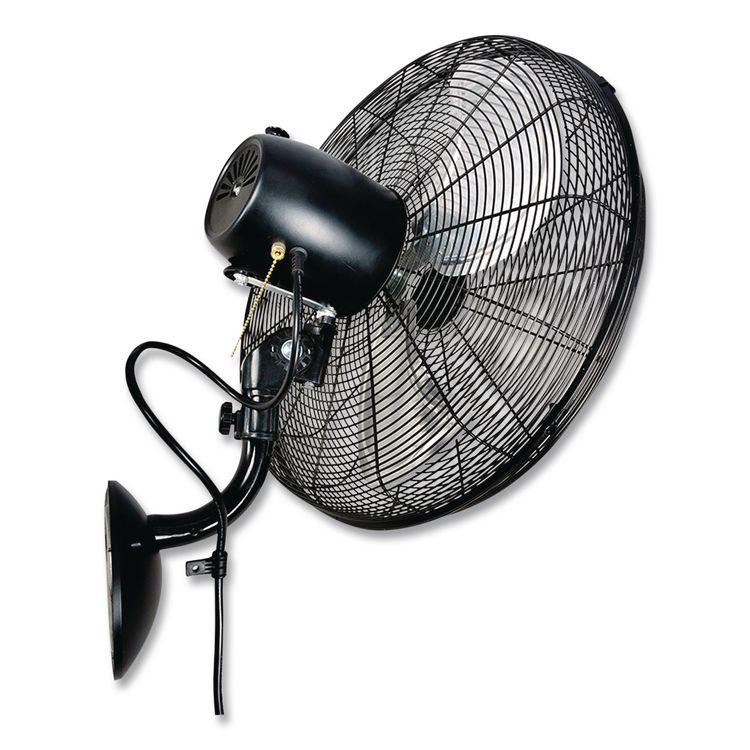 GLOBAL INDUSTRIAL Industrial Wall Mounted Oscillating Fan, 20", 3 Speeds, Black (GBE293130)
