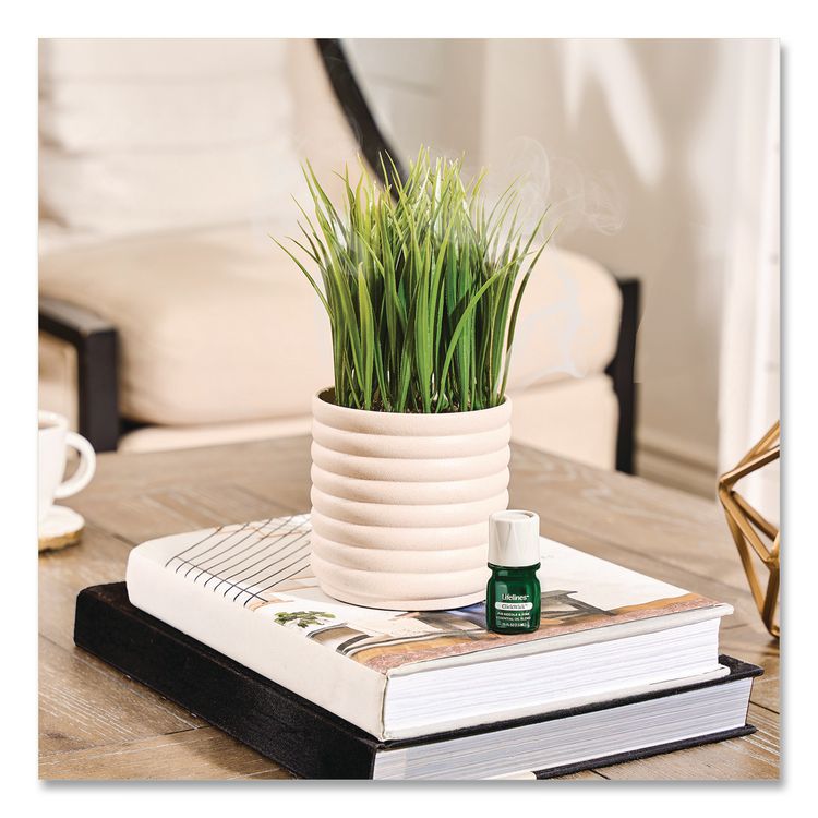 LIFELINES Evaporative Aromatherapy Essential Oil Grass Plant Diffuser with Fir Needle and Pine Essential Oil, 6.2 x 9.5, White/Green (LLN111608)