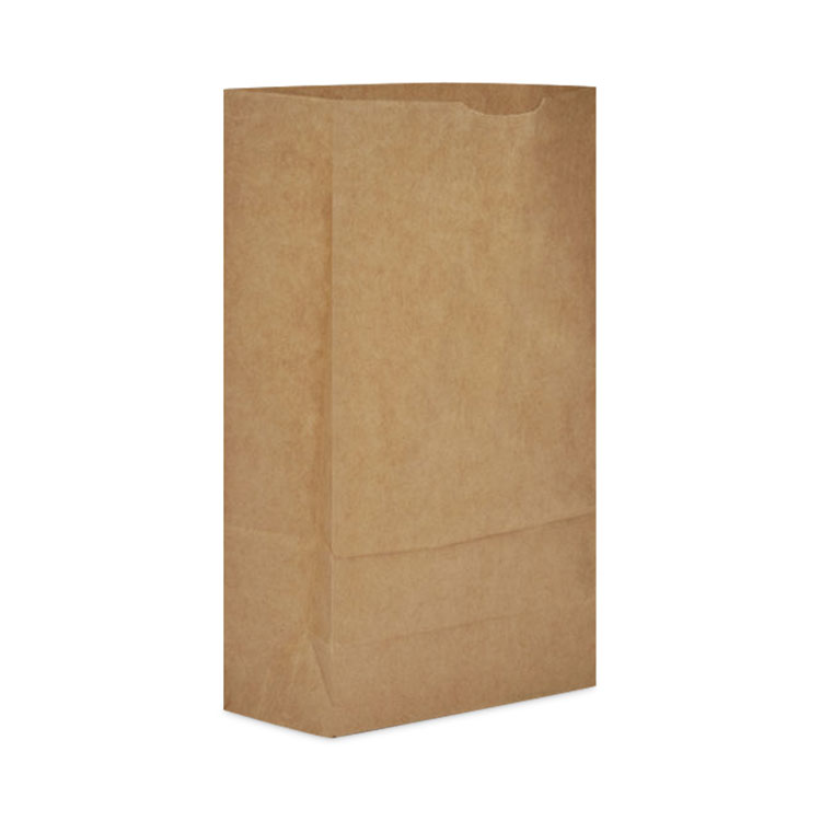 AJM PACKAGING CORP. Grocery Bag, 9.25" x 11.5" x 24.75", Kraft, 1,000/Bundle (BAGGX6)