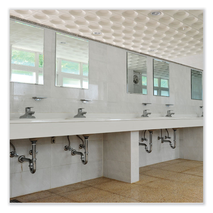 BETCO CORPORATION BestScent Smoke and Odor Eliminator Aerosol, Fruit/Floral Scent, 16 oz Aerosol Can, 12/Carton (BET622300)