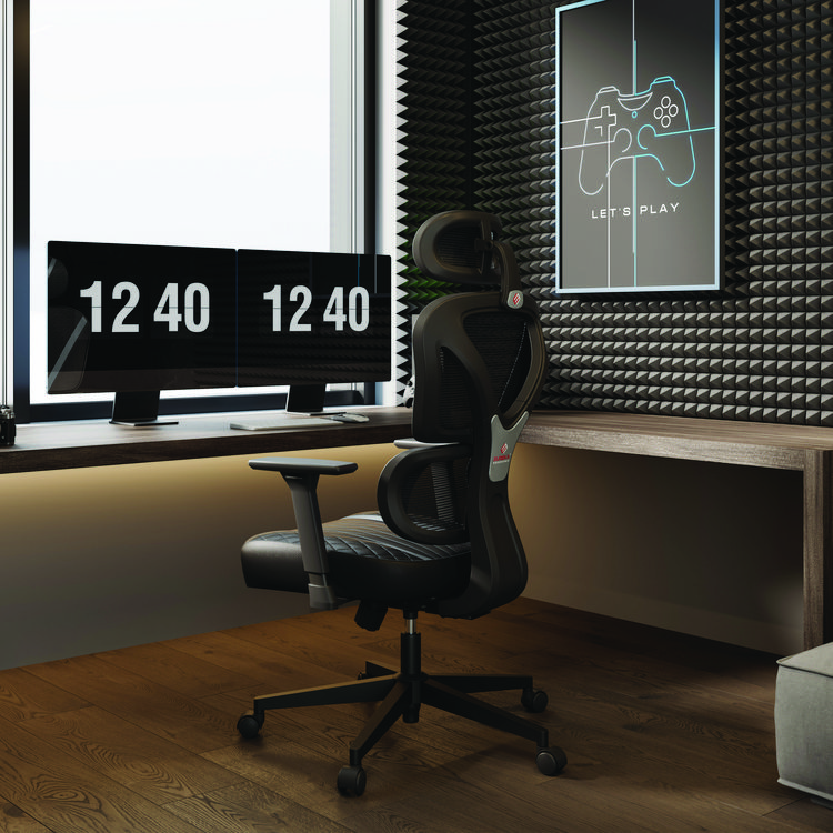 EUREKA ERGONOMIC Norn Ergonomic Chair, Supports Up to 275 lb, 18.11" to 22.04" Seat Height, Black/Gray Mesh Seat/Back, Black Base (EKAGC06GY)